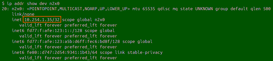 n2x Node IP