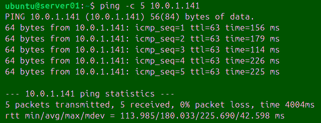 Ping Command