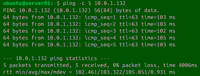 Ping Command