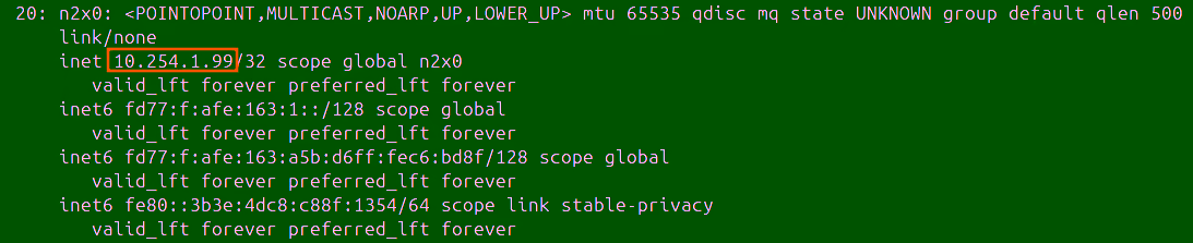 n2x Node IP
