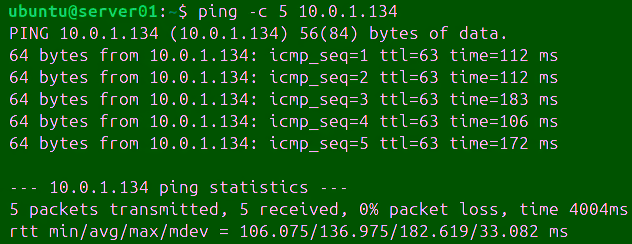 Ping Command